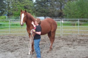Bliss with horses. 8 ways to spend more time with horses.