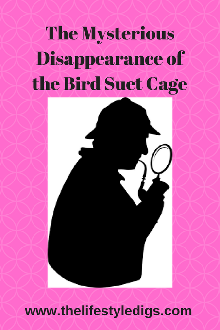 Mysterious Disappearance of the Bird Suet Cage