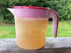 How to make Iced Tea in Mr. Coffee Iced Tea Maker