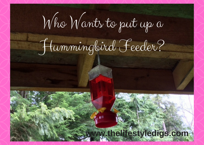 Who Wants to put up a Hummingbird Feeder_