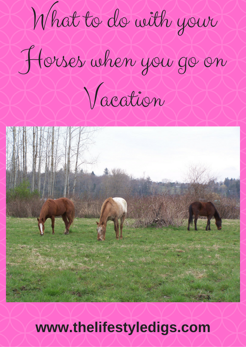 What to do with your Horses when you go on Vacation