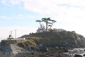 Trees of Mystery and Crescent City, California