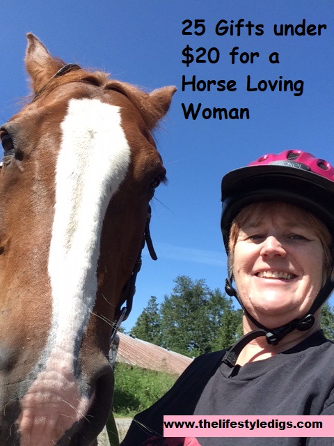 25 gifts under $20 for a Horse Loving Woman