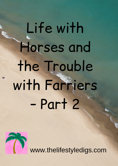 Life with Horses and the Trouble with Farriers – Part 1