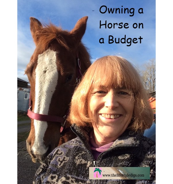 Owning a Horse on a Budget