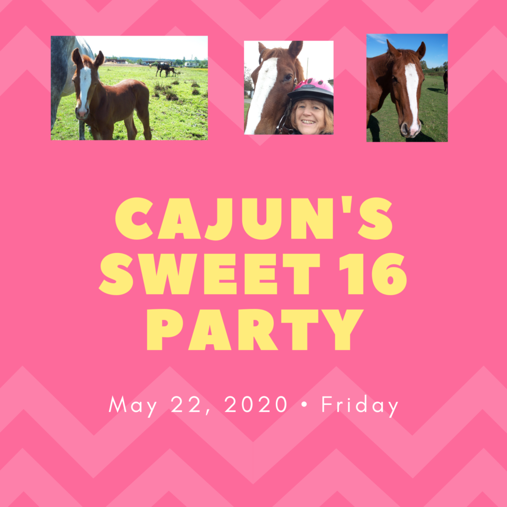 Cajun is Sweet 16!