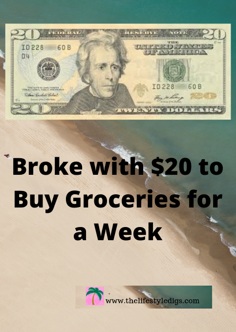 Broke with $20 to Buy Groceries for a Week