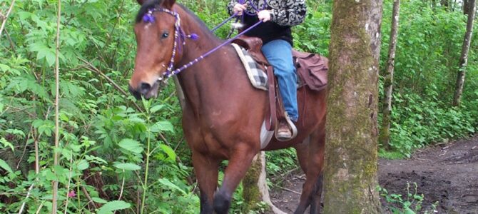 39 Things You'll Never Hear a Horsewoman Say!